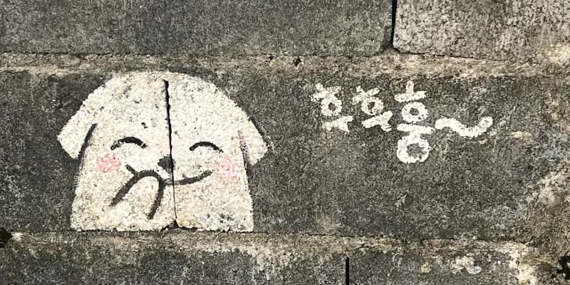 🍊 2026년 1분기 회고 썸네일